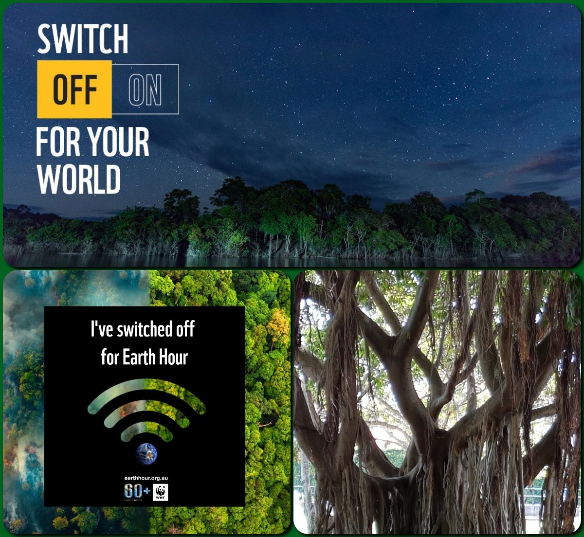 thomas_twins's tweet photo. #EarthHour2021 #SwitchforNature #SwitchOff #Environmentalist #Conservationist #NoPlanetB #caringforourplanet #ourhome https://t.co/AtATkWRFLQ