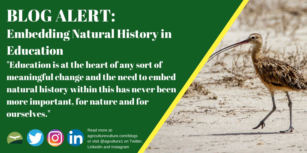 BLOG ALERT: Embedding Natural History in Education
.
Take a look at the work of <a href="/curlewcalls/">Mary Colwell</a> &amp; <a href="/CurlewAction/">Curlew Action</a> and how they're working to get natural history at the heart of education
.
agriculturevulture.com/natural-histor…
.
#education #conservation #naturalhistory #nature #wildlife