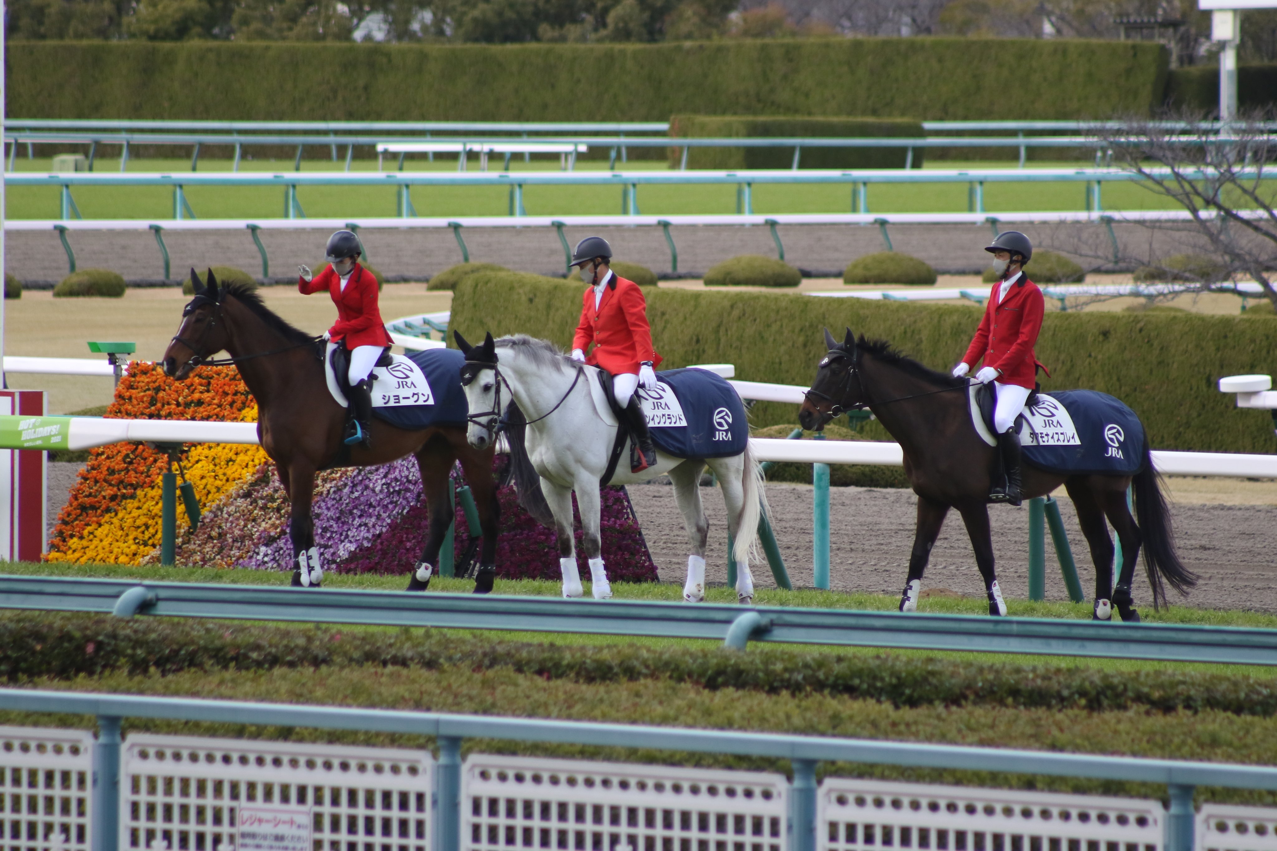 関西誘導馬ふぁんさーくる 21年3月13日阪神競馬場 午後の誘導馬ショーグン レンイングランド タマモナイスプレイ 誘導馬 ショーグン レンイングランド タマモナイスプレイ 阪神競馬場 T Co Wiw3mkz6to Twitter