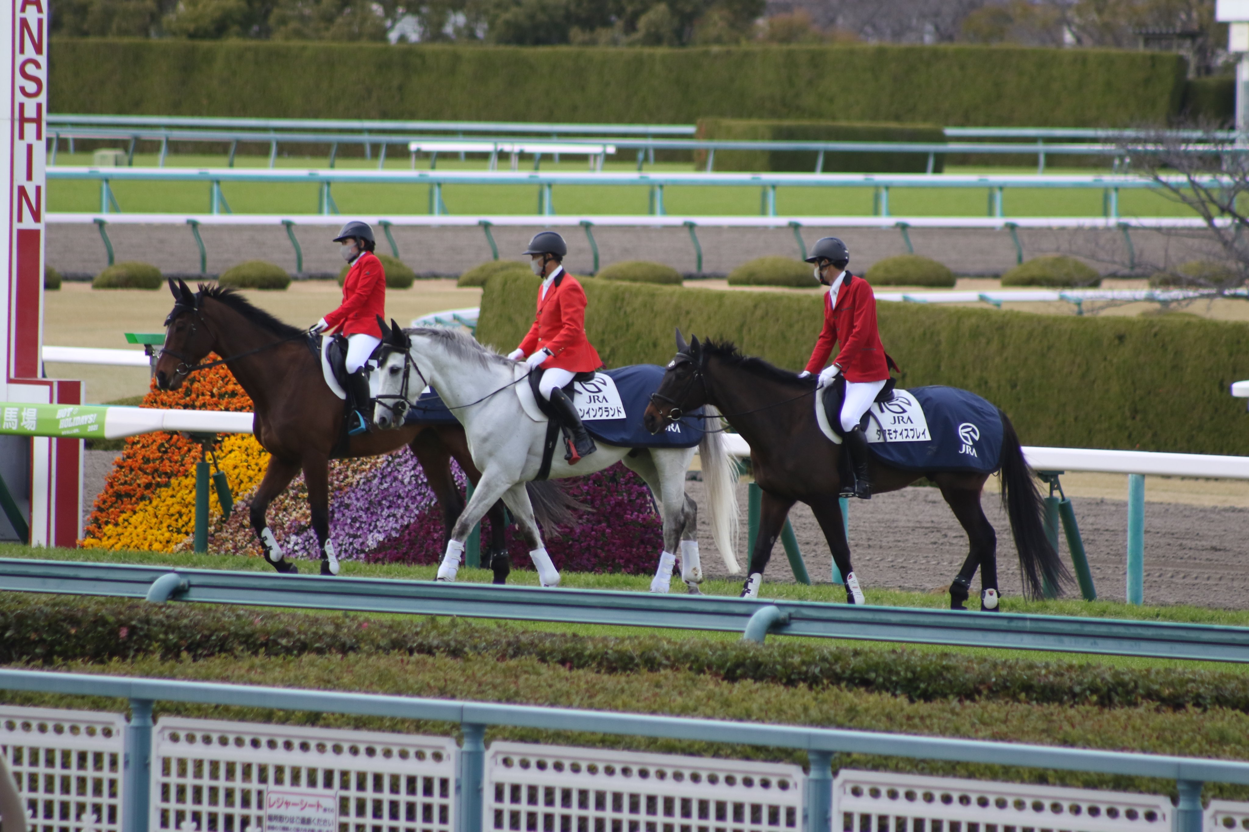 関西誘導馬ふぁんさーくる 21年3月13日阪神競馬場 午後の誘導馬ショーグン レンイングランド タマモナイスプレイ 誘導馬 ショーグン レンイングランド タマモナイスプレイ 阪神競馬場 T Co Wiw3mkz6to Twitter