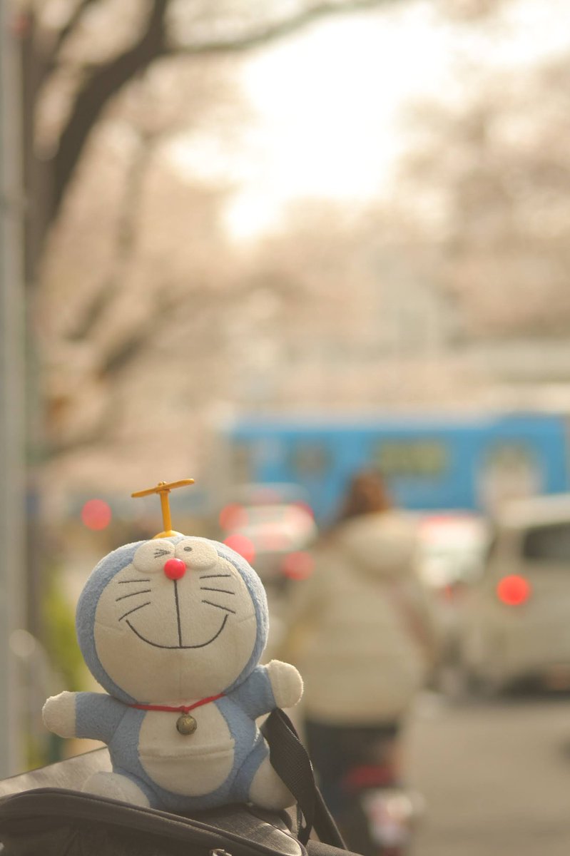 早稲田大学ドラえもん研究会 東京では桜が満開になっています ということで桜の写真を撮ってきました 西武新宿線の Doraemon Goとトキワ荘マンガミュージアムと一緒に撮ってみました さくら