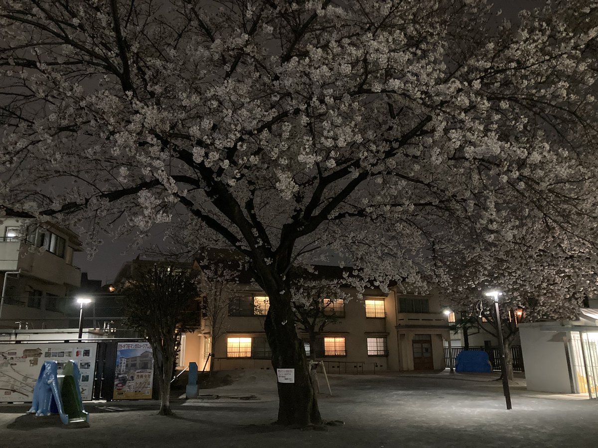 早稲田大学ドラえもん研究会 東京では桜が満開になっています ということで桜の写真を撮ってきました 西武新宿線の Doraemon Goとトキワ荘マンガミュージアムと一緒に撮ってみました さくら