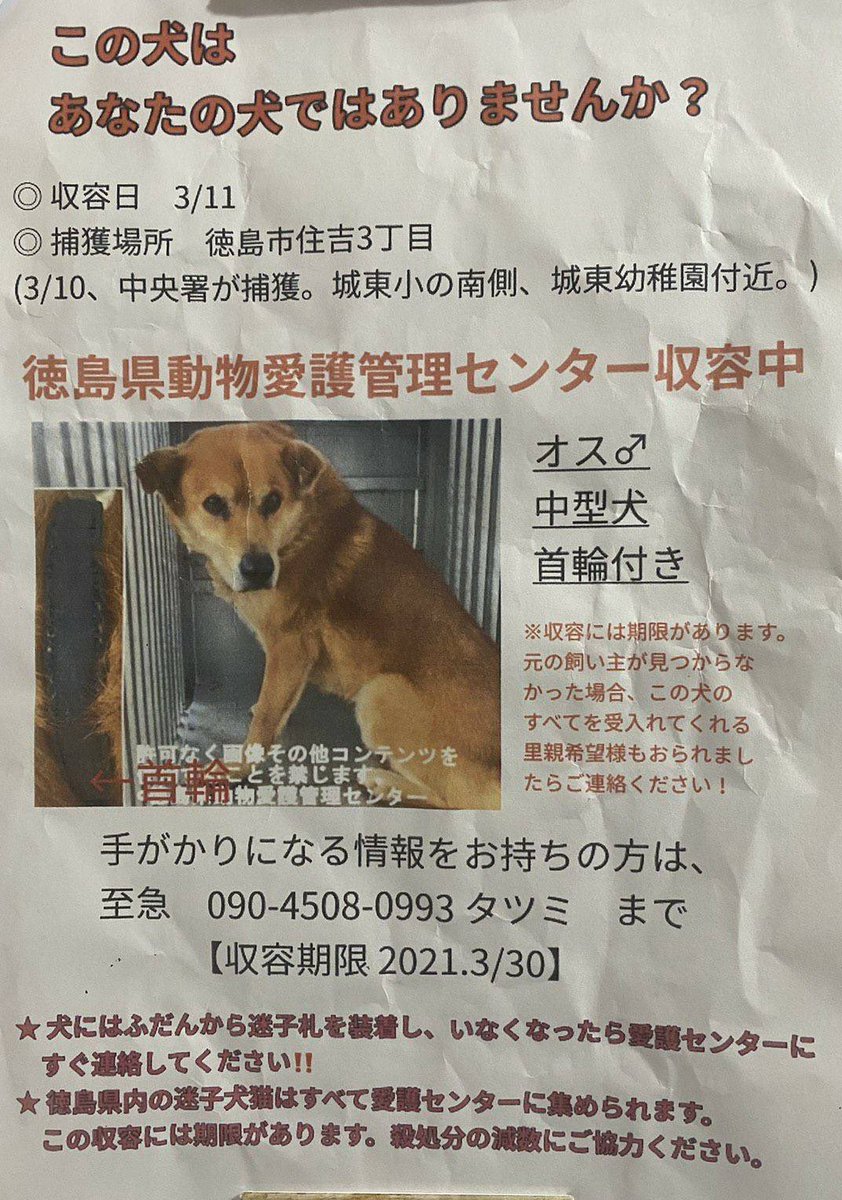 徳島県動物愛護管理センター Twitter Search
