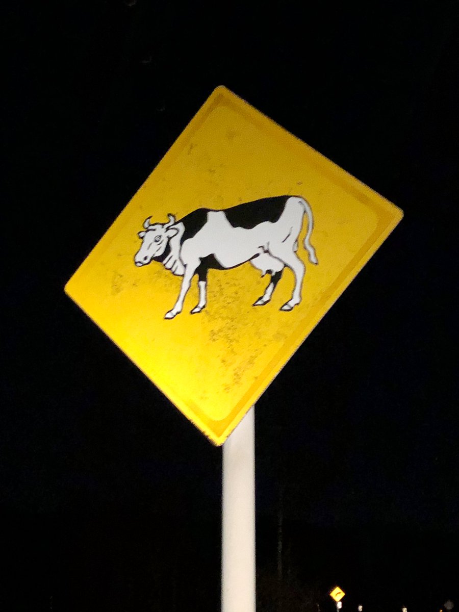 牛注意 Hashtag On Twitter