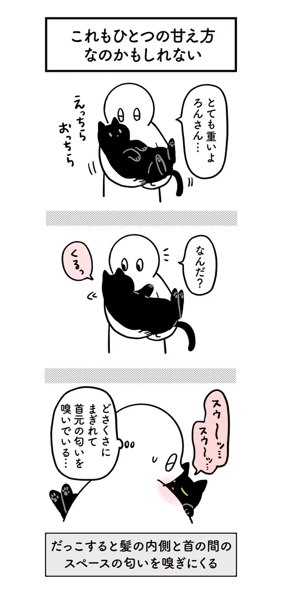 だっこ中のねこ、フリーダムに空中で甘えたり遊びはじめたりするｗｗ
