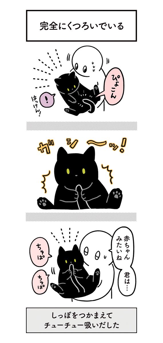 だっこ中のねこ、空中で2本の腕に抱えられているだけの心もとない身にもかかわらず、一切の不安なくフリーダムに甘えたり遊びはじめたりする。という絵日記(3まい+おまけの写真) #ろんの絵日記 