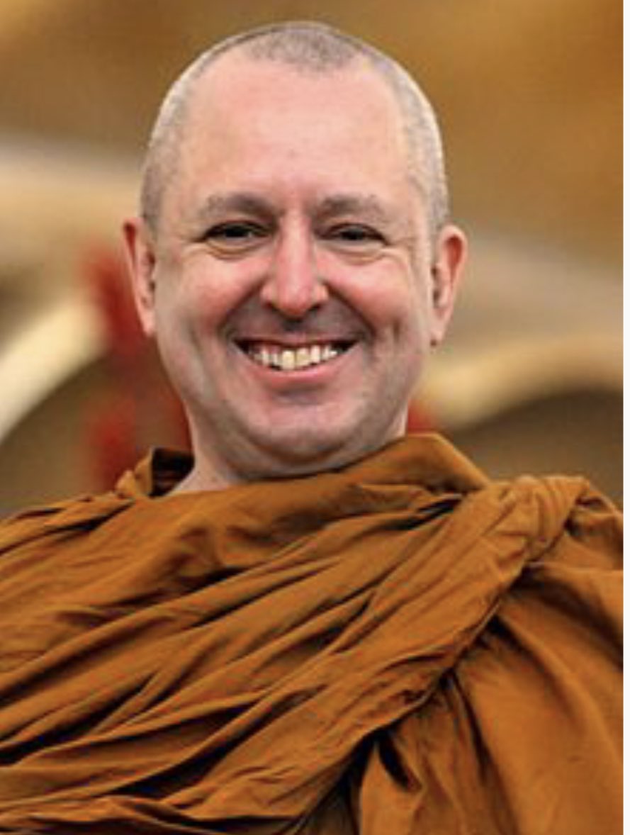 Yogi world tweet media