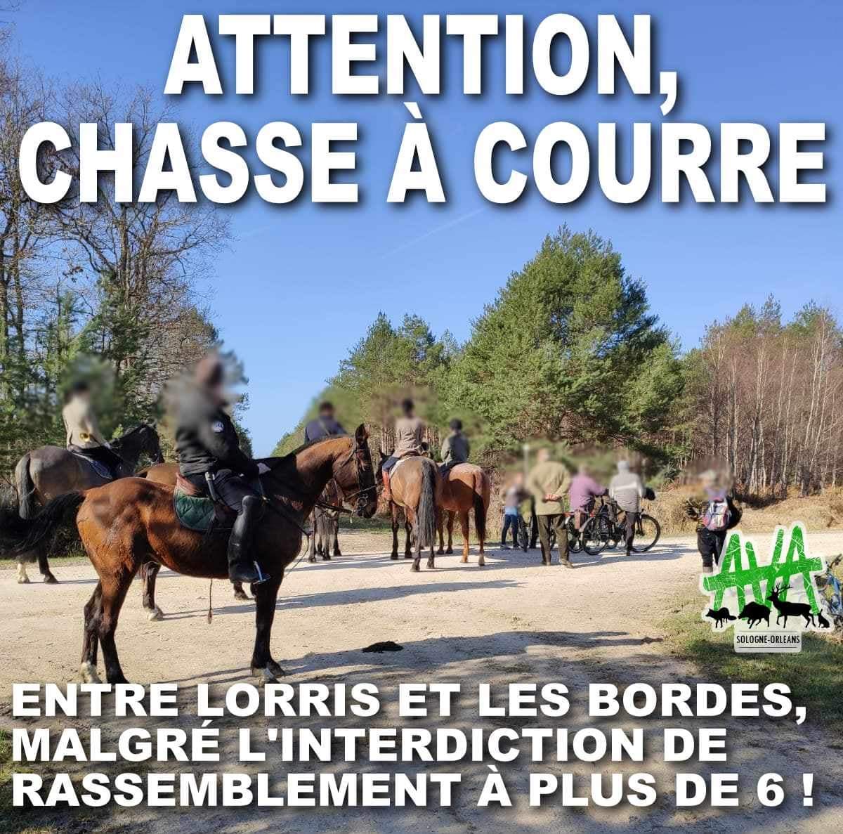 AVA Sologne Orléans tweet media