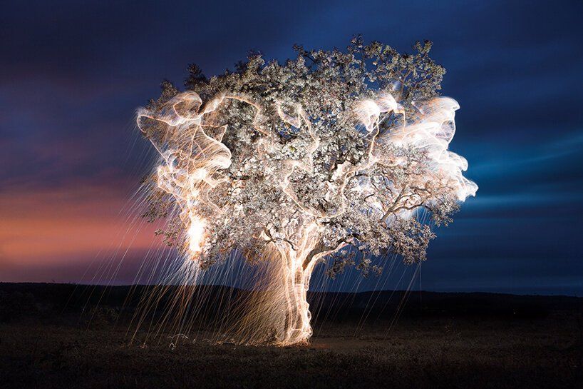 maximaxoo's tweet photo. #Science #Art: photographer Vitor Schietti captures #dream-like #forests of #FallingLight — #LongExposure #Brazil #Treetops #Branches #LightPainting
https://t.co/MlF8cmJJNh via @Colossal https://t.co/C3VFtAKNl8