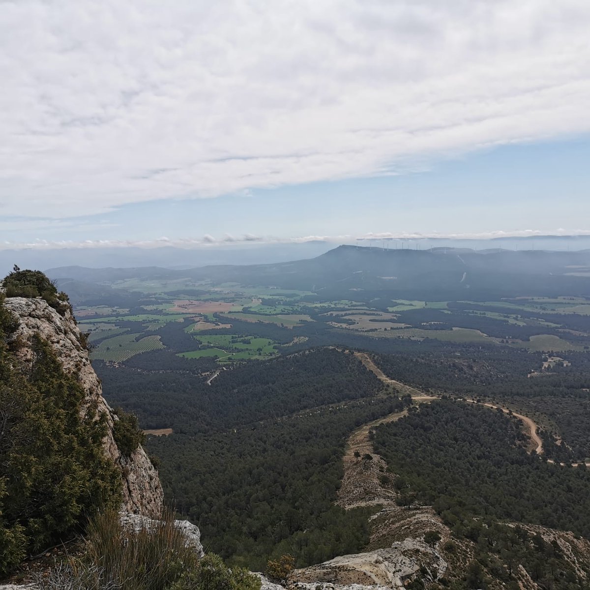 RenovablesSIperoNOasi tweet media