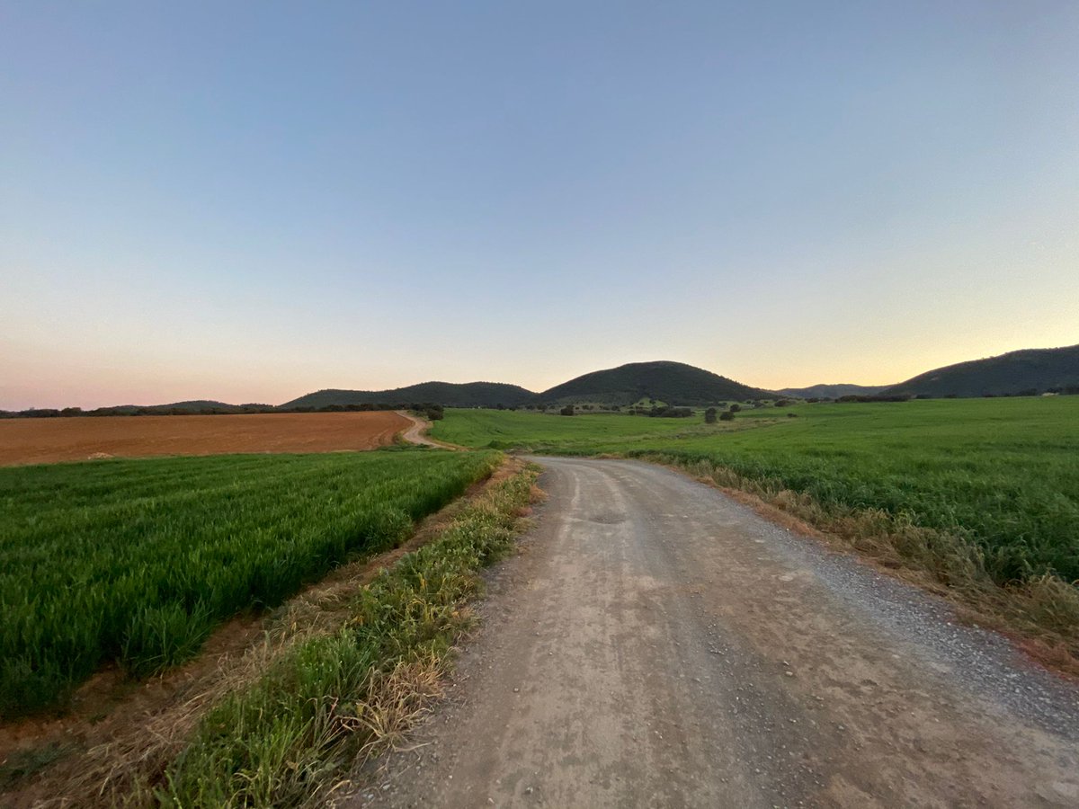 RenovablesSIperoNOasi tweet media