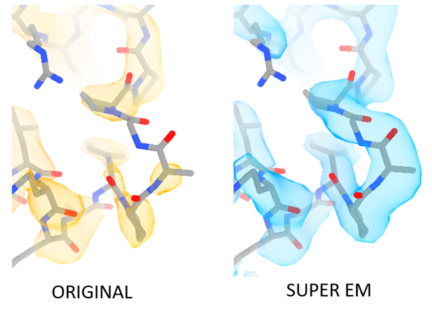 ABorsellini's tweet photo. I have been trying the SuperEM method from @kiharalab @sai_ragh4. Not only improved the resolution, but it is extremely good at showing poorly resolved areas. #CryoEM   
https://t.co/wiLQl0ZVF8 https://t.co/2tBiarfYwz