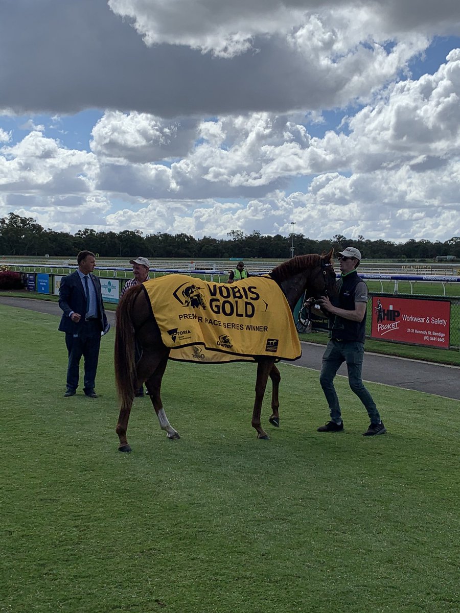 1000giggles's tweet photo. #VobisGold #Rush winner @_BendigoJC today is a legend #StarryLegend #LegendRacing well done to #MDee for #JohnSadler #JudyCain @Country_Racing @RacingInsider https://t.co/cOMS7RXefo