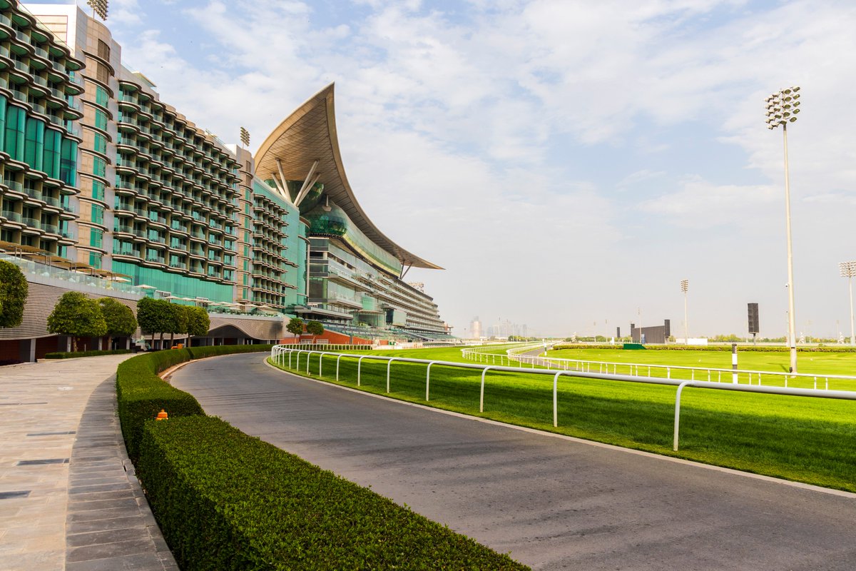 DXBMediaOffice's tweet photo. The 25th edition of the #DubaiWorldCup will kick off shortly at Meydan Racecourse with 117 horses participating from 11 countries. https://t.co/cSW1PMpeGx