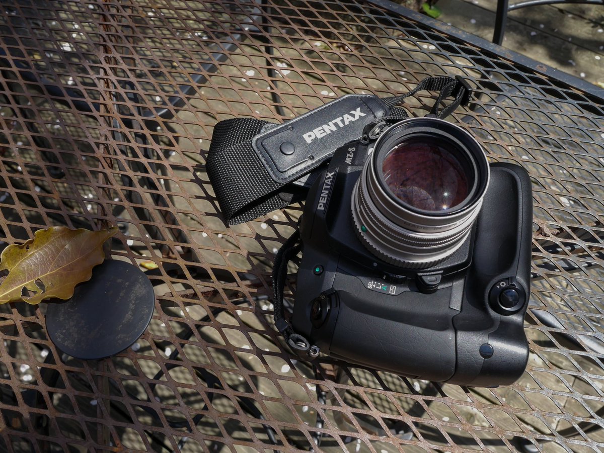 sora_ni_muchu's tweet photo. ちょこっとだけ桜を撮れました。
#PENTAX #MZ_S
#FA_Limited
#今日のカメラ
#フィルムカメラ https://t.co/IHXzm91wLG
