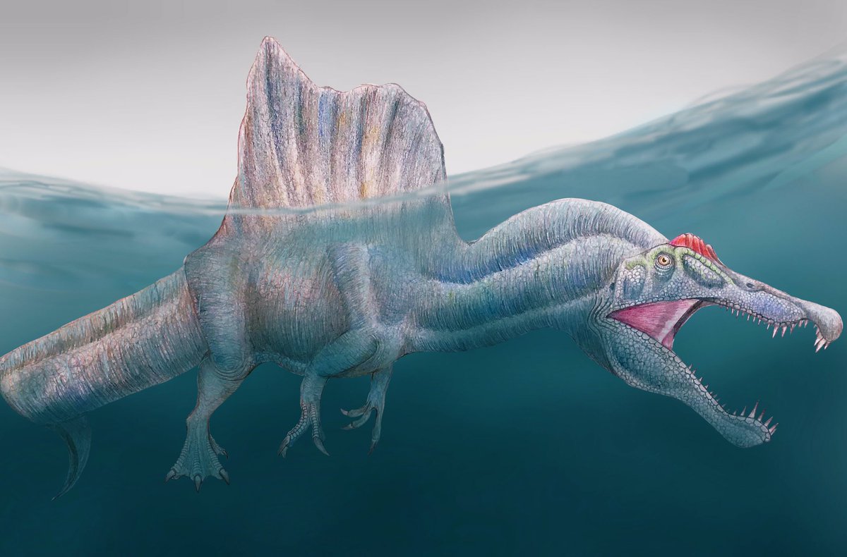 Twoucan スピノサウルス の注目ツイート イラスト マンガ コスプレ モデル