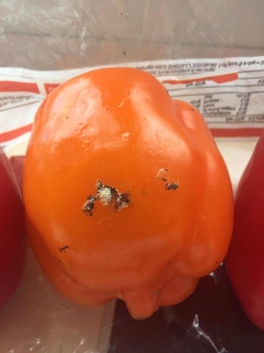 Hey <a href="/Tesco/">Tesco</a> just unpacking my click and collect order, and the peppers aren’t looking too hot 🙁