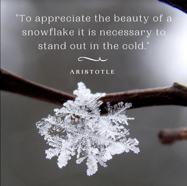 OurClassCeeLife's tweet photo. Right now I'm listening to
How Nature Teaches Us To Grieve

@GoodGriefFest 
#grief #goodgrief #goodgrieffest #nature #healing https://t.co/EPVk5kItDn
