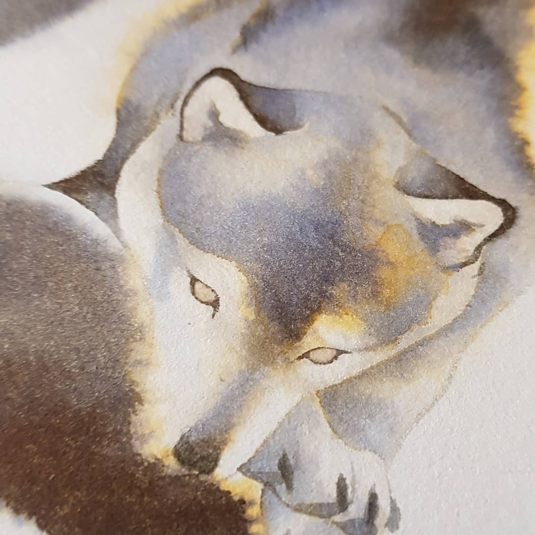 I think I completely forgot to share this fluffy wolf commission I had the pleasure to draw ♡