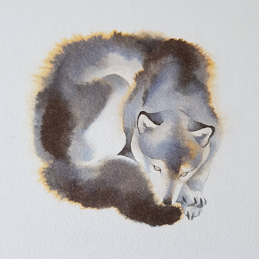 ✷ Rozenn ✷ tweet media