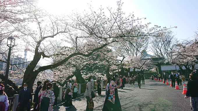 東京のさくらといえば千鳥ヶ淵。
そして武道館では大学の卒業式があるらしい。 