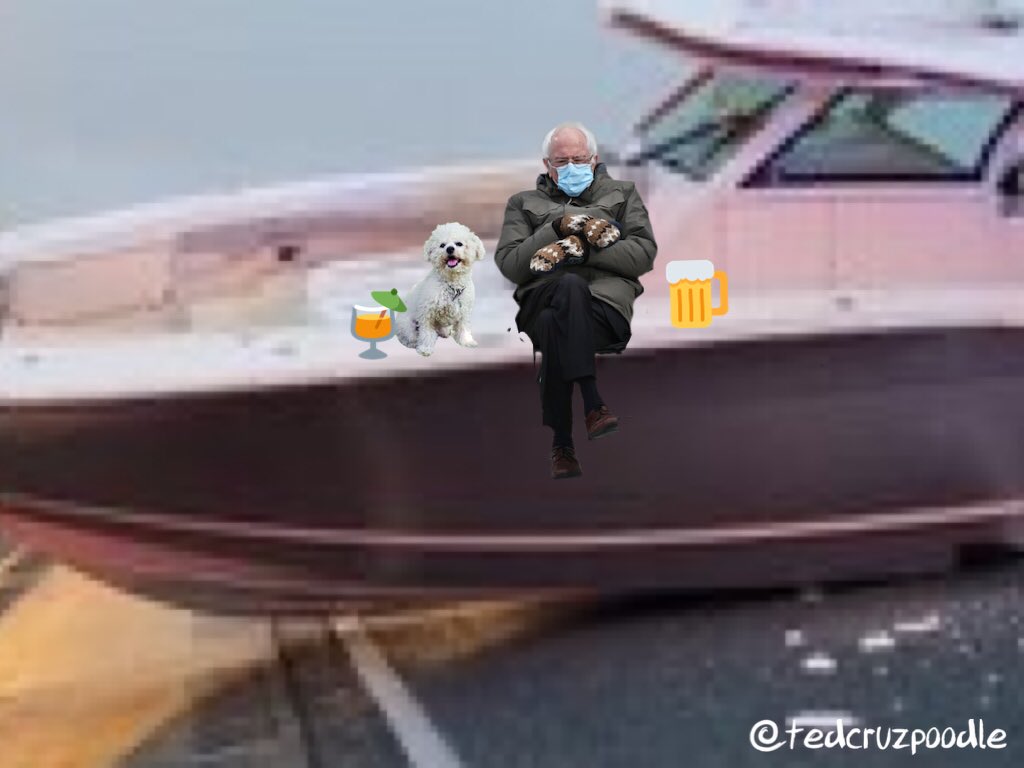 TedCruzPoodle's tweet photo. @orlandosentinel #FluffMyLife 😳
(hiccup)
#AdventuresWithBernie ⛵️
#AdventuresWithSnowflake ❄️
#FloridaMan
#Evergreen
#EVERGIVEN
#SuezBLOCKED https://t.co/UgCYDQOUC7