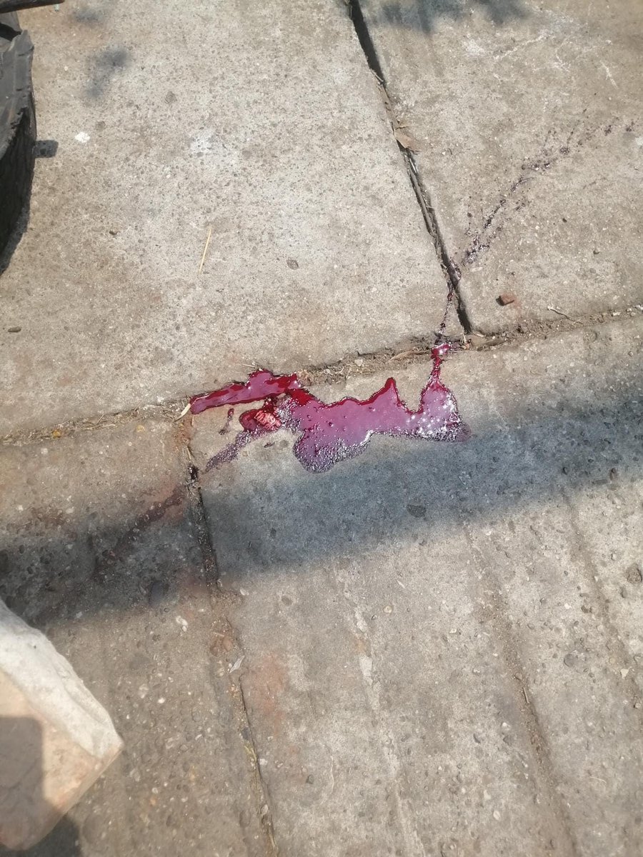 One civillian got headshot by JUNTA TERRORISTS 
📍Kyundaw Street,Sanchaung #AntiFascistRevolution2021 #Mar27Coup #WhatsHappeningInMyanmar