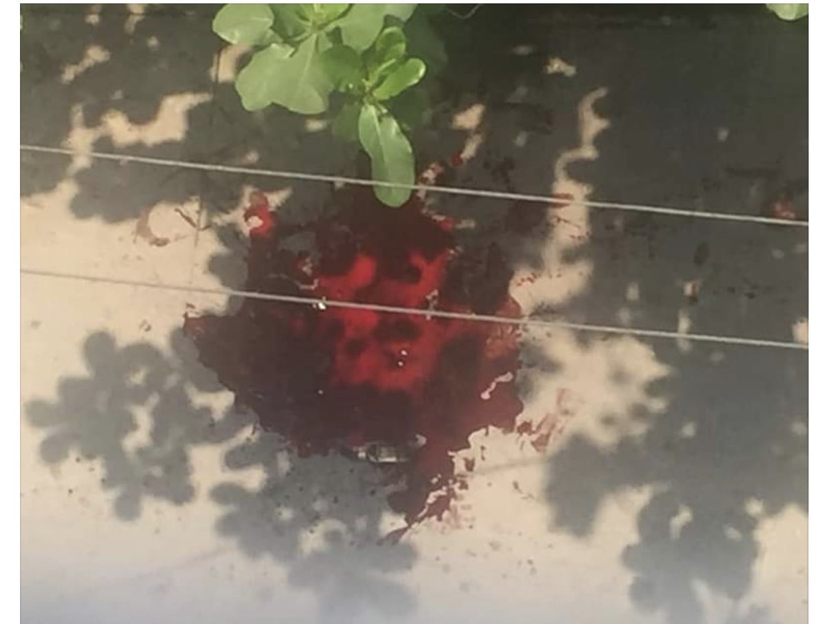 BLOODSHED in MayanGone, Yangon
One civilian was SHOT by Terrorists and the condition is unknown.

ANTIFASCIST REVOLUTION

#AntiFascistRevolution2021
#Mar27Coup
#WhatsHappeningInMyanmar