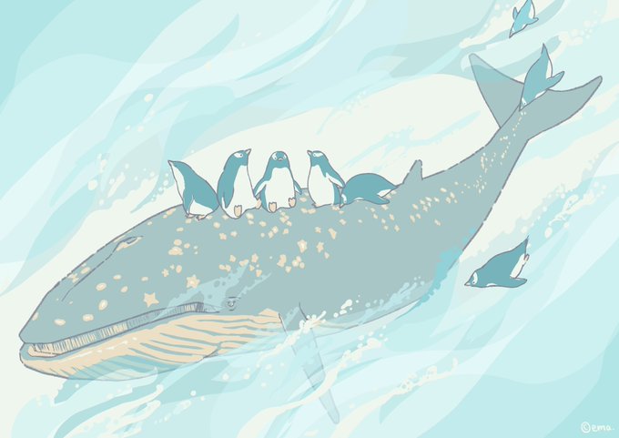 「鮫 水」のTwitter画像/イラスト(古い順)