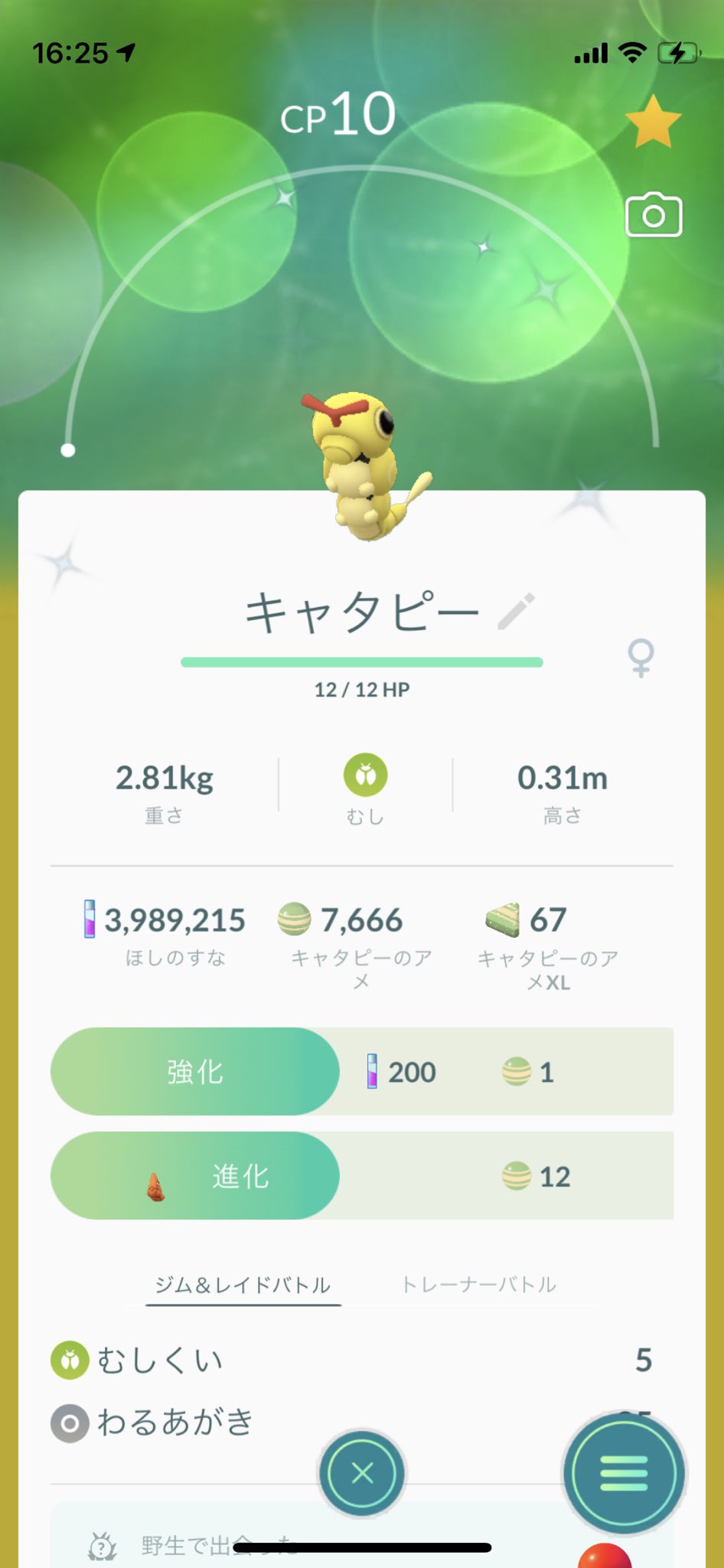 ピジョット色違い Twitter Search Twitter