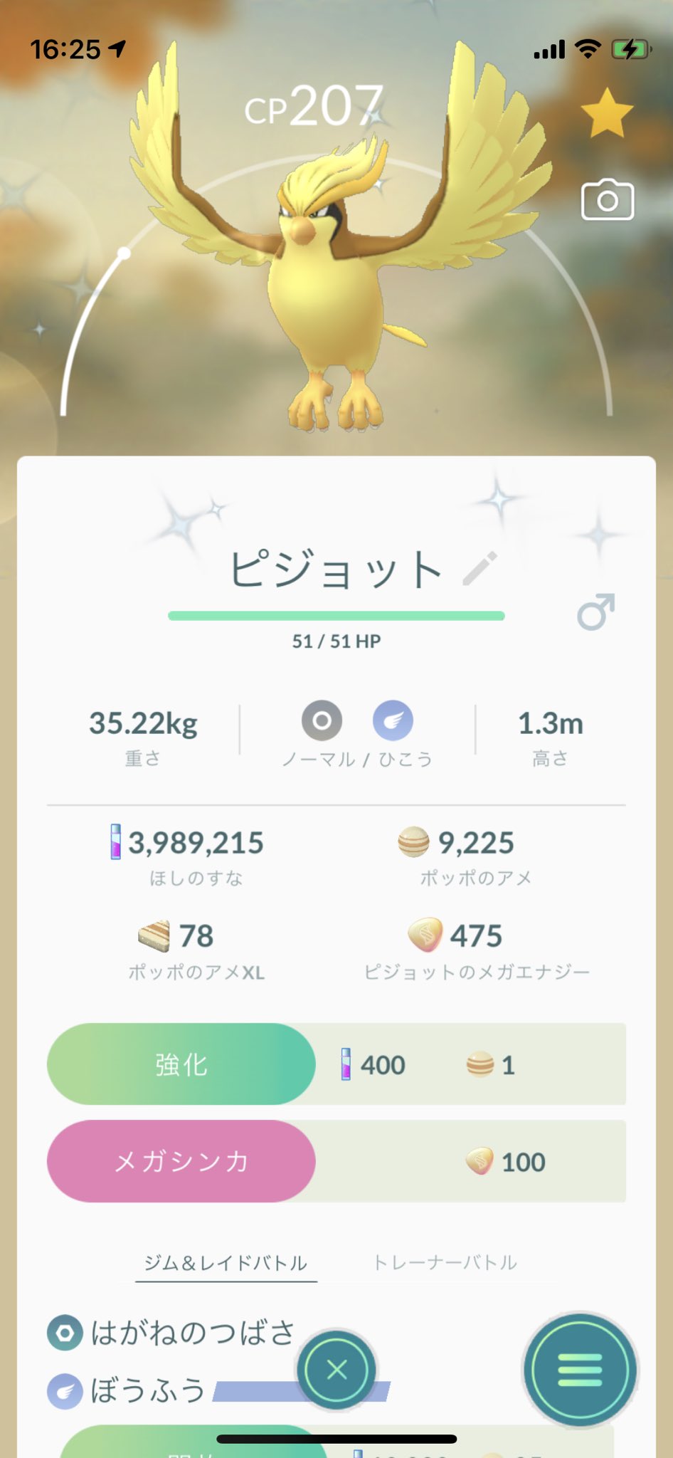 ピジョット色違い Twitter Search Twitter