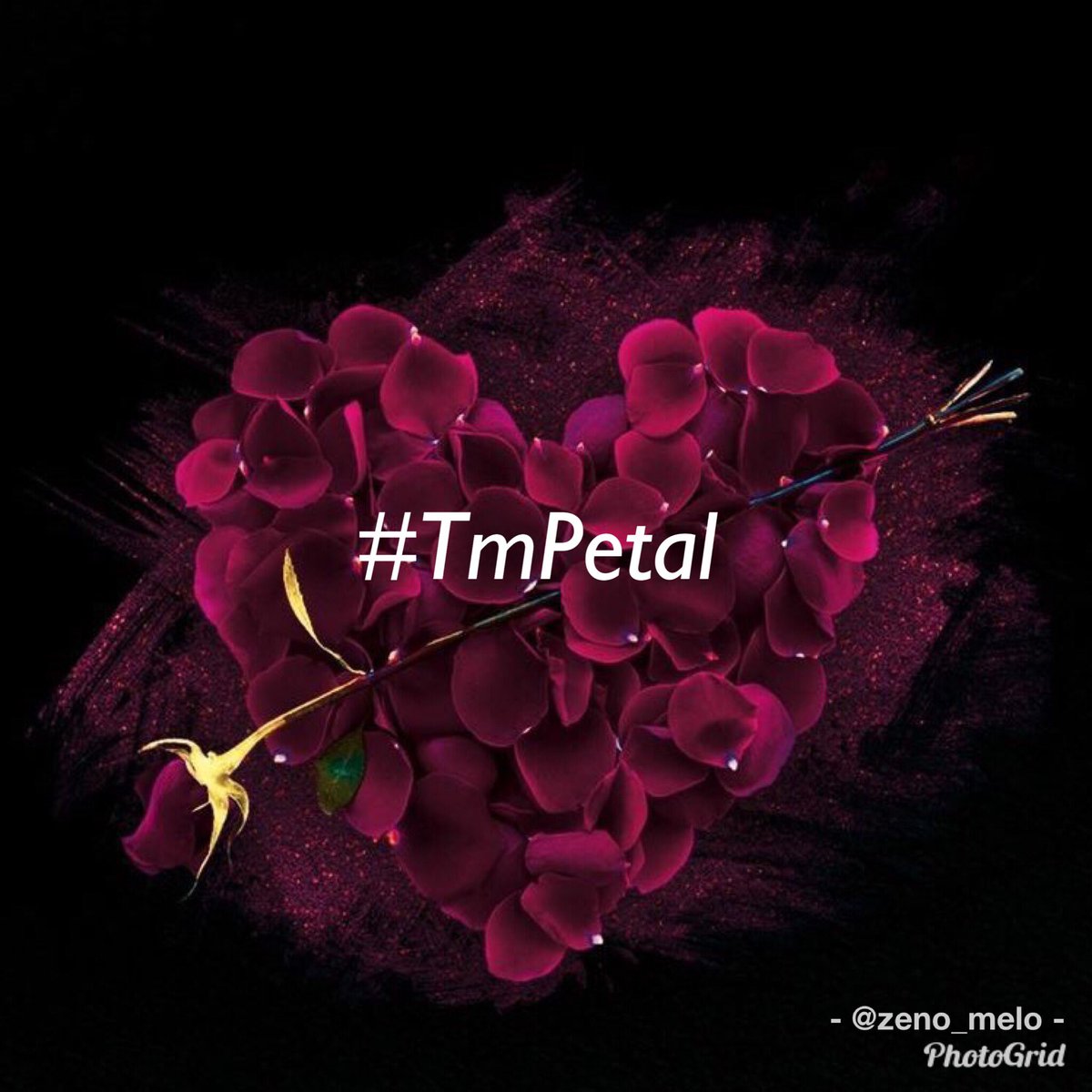 swydersk's tweet image. #Follow
#TmPetal #PetalsTm 

@ranasilvia63
@monicasloves
@RosaTrunk
@GraceMurphy2
@moiraek
@Ahmad_Haif
@lumpie125
@Spencerjames211
@swydersk
@BleuAnnRN
@Rambler1960
@luisalarosa
@tatysolcito
@ruby2015xo
@_ItsAngelC
@mvf7186
@Roy1980_lions
@NanaPoku12345
@nunespereirabr