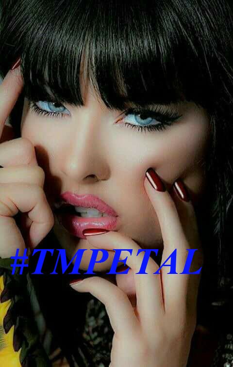 swydersk's tweet image. #Follow
#TmPetal #PetalsTm 

@ranasilvia63
@monicasloves
@RosaTrunk
@GraceMurphy2
@moiraek
@Ahmad_Haif
@lumpie125
@Spencerjames211
@swydersk
@BleuAnnRN
@Rambler1960
@luisalarosa
@tatysolcito
@ruby2015xo
@_ItsAngelC
@mvf7186
@Roy1980_lions
@NanaPoku12345
@nunespereirabr