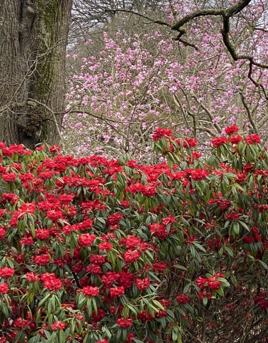 DrMarkRowe's tweet photo. Peace is a place within your own heart and mind where the stresses of daily life don’t disturb your inner balance, derail your purpose, or sense of contentment. 

                  🙏♥️🦋📘

#SaturdayThoughts      #nature https://t.co/xW2DOAX77M