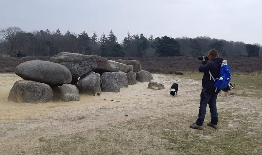 Ontzettend genoten van Drenthe! 
Ik verkende oa natuurgebied het Holtingerveld en zag daar heel veel dieren. Deze hele week wandelen de OutdoorBloggers in een stafette door Drenthe, volg ons via #oerdrenthe ism <a href="/Oerdrenthe/">Drenthe</a> #holtingerveld #natuur