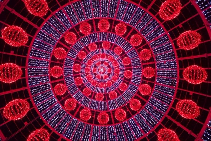 Come out of the circle of time and into the circle of Love.
-Rumi
#poetry #mysticpoetry