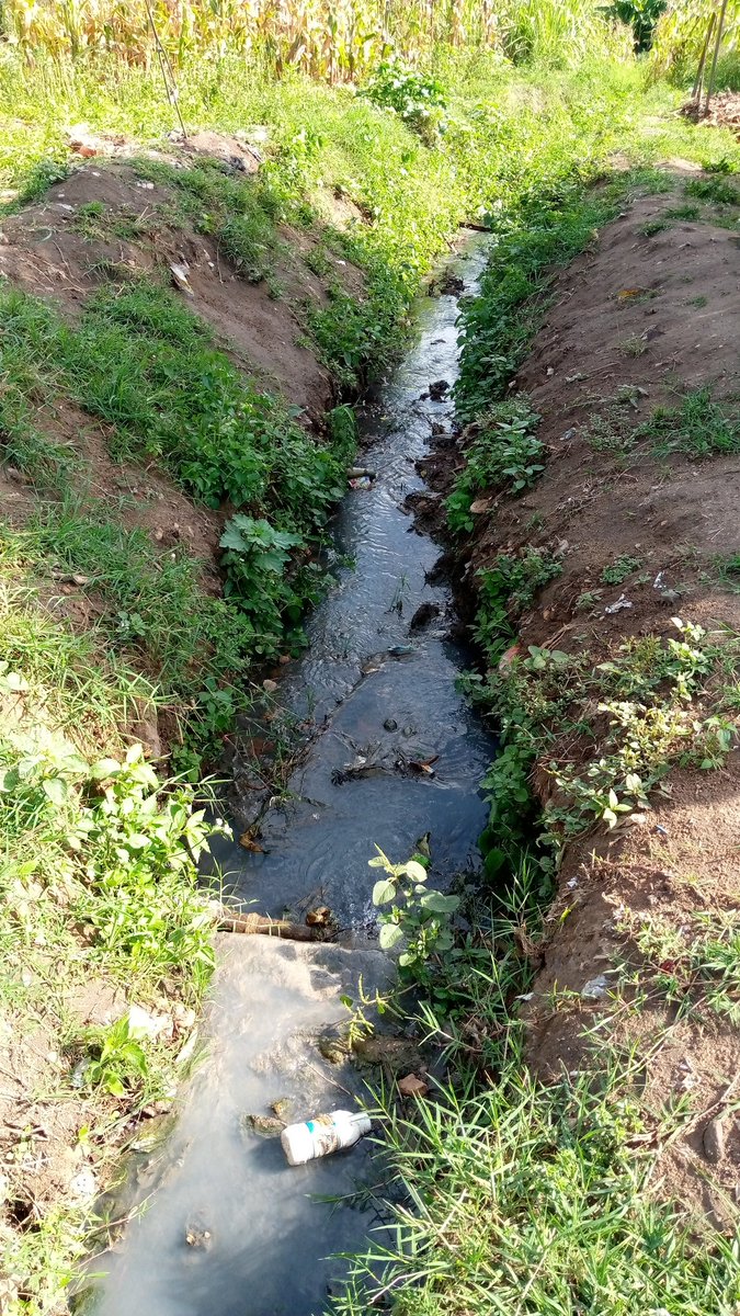manexmauya's tweet photo. Mutare City council cleansing water ways and drainage system @Jesmunga @ZIMCODD1 @NewsDayZimbabwe @ashtondube https://t.co/6pUEPHZkzk