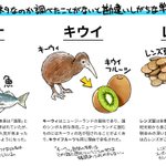 どっちが由来か勘違いしがちな単語!魚は肴の方が語源だって知ってた？？