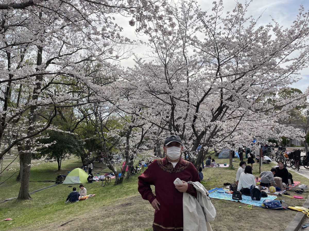 sekiguchi11's tweet photo. 近所の公園で散歩、満開 https://t.co/uN3a8xqR4J
