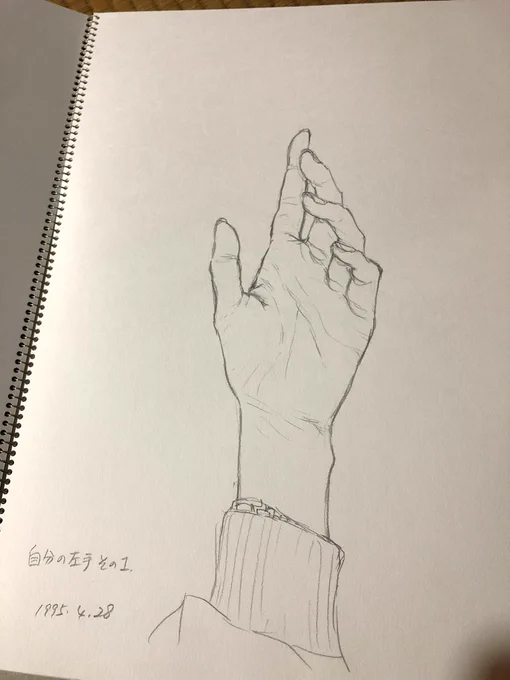未知の生命体の侵攻を受けつつも衣服があらかたまとまったので、次は混沌と化してる古い絵の墓場をどうにかしようと思ったんですが、仕分け始めた矢先に母のスケッチブックに「ちくしょう……絵が……上手い……」って打ちのめされてる 