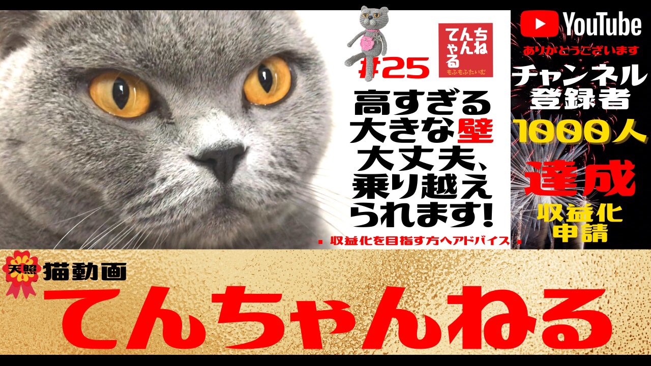 てんちゃんねる猫動画 Kita3 Mttcten Twitter