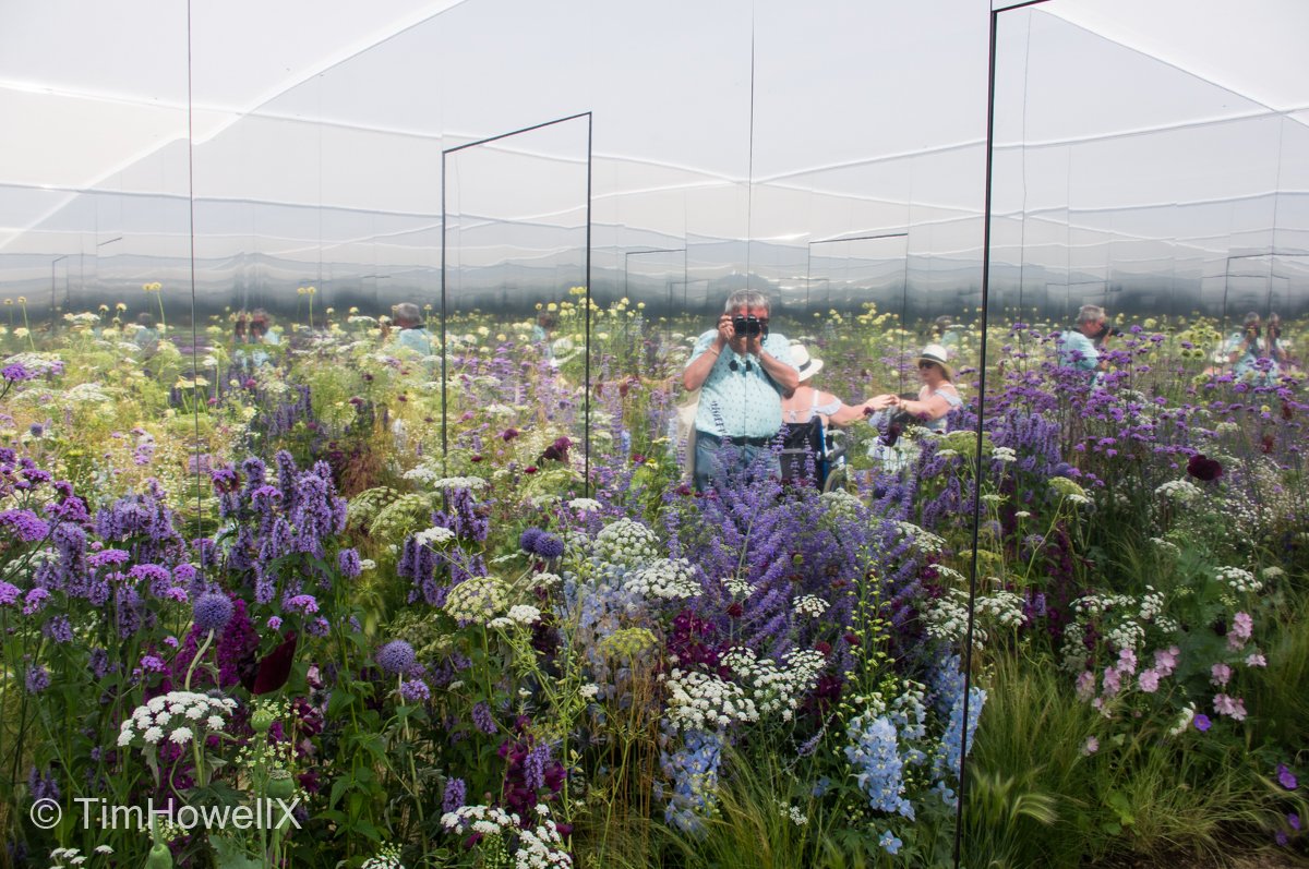 TimHowellX's tweet photo. 27-#31DaysOfHampton #RHSHampton Fantastic conceptual garden by Alex Rainford-Roberts “Apeiron: The Dibond Garden” 2018. Mirrored internal surfaces of the corten steel box imply the visitor is in an infinite beautiful wildflower meadow. Build by @BowoodLandscape @edwardsandwhite https://t.co/IRNmmIlfIW