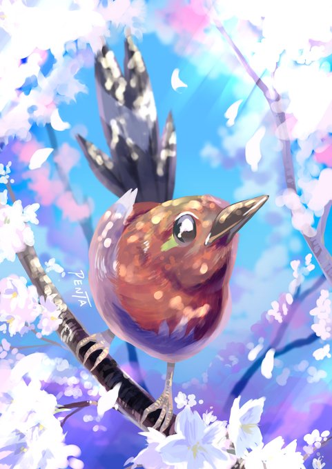 ヤヤコマのtwitterイラスト検索結果