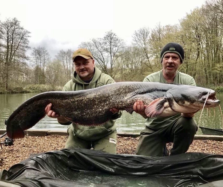 Warmer weather forecast next week, shouldn’t be long before the cats are in full feeding mode. Our dedicated Cat Lake is fully booked until Oct, we will post any late cancellations on our social media pages or feel free to call the office on 01277 375499 ☎️ to join the waitlist