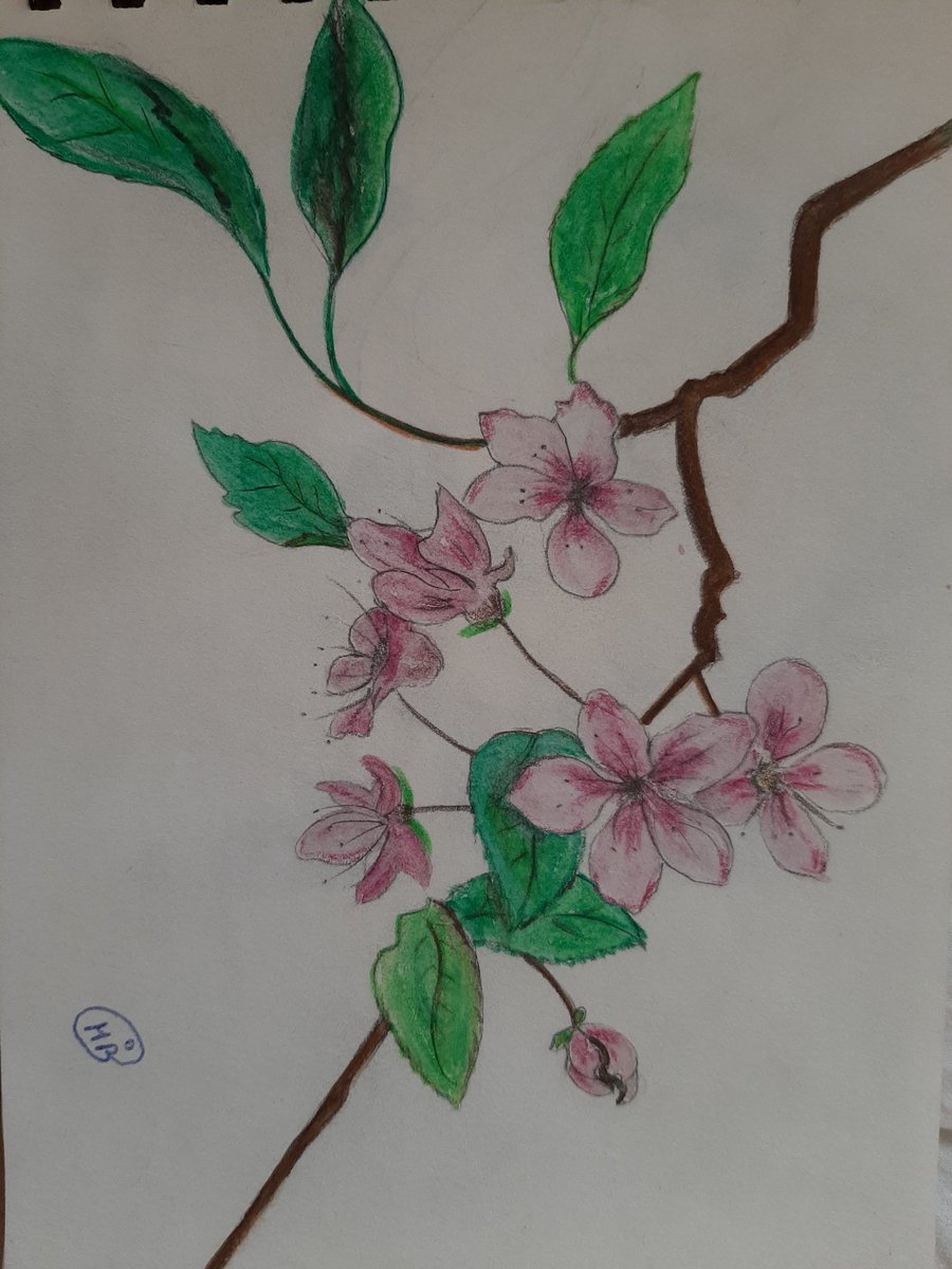 Dyane Dyanesuib Twitter