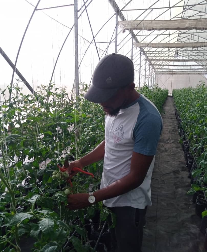baadellijames's tweet photo. The Open Field...The Greenhouse..The Nursery 👩‍🌾 https://t.co/NxNdPMpiNN