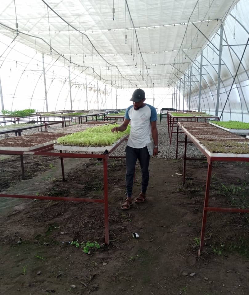 The Open Field...The Greenhouse..The Nursery 👩‍🌾