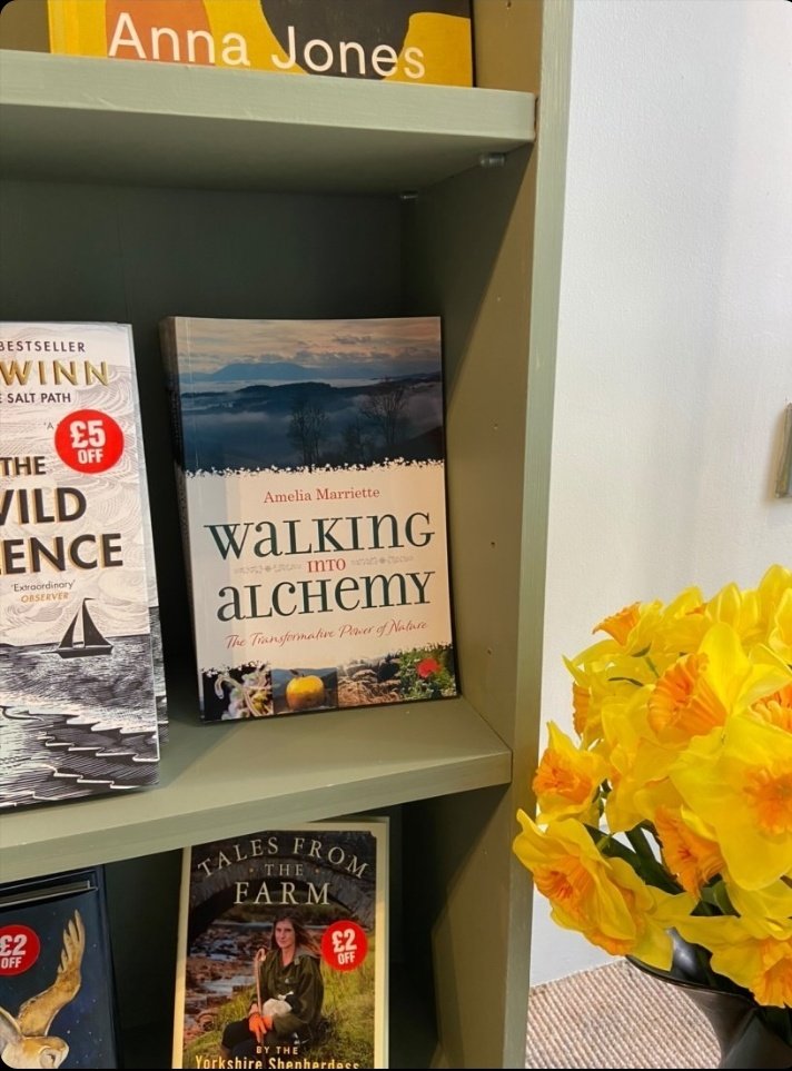 Writing_Austria's tweet photo. The wonderful East Gate Bookshop in Totnes, South Devon have just unpacked some full-colour copies of my book. Call first to arrange to collect books. I'm placed alongside @raynor_winn #walkingintoalchemy #totnes #mybookintheworld @eastgatebookshop #naturecure #lockdownbooks https://t.co/zu95hPbgkr