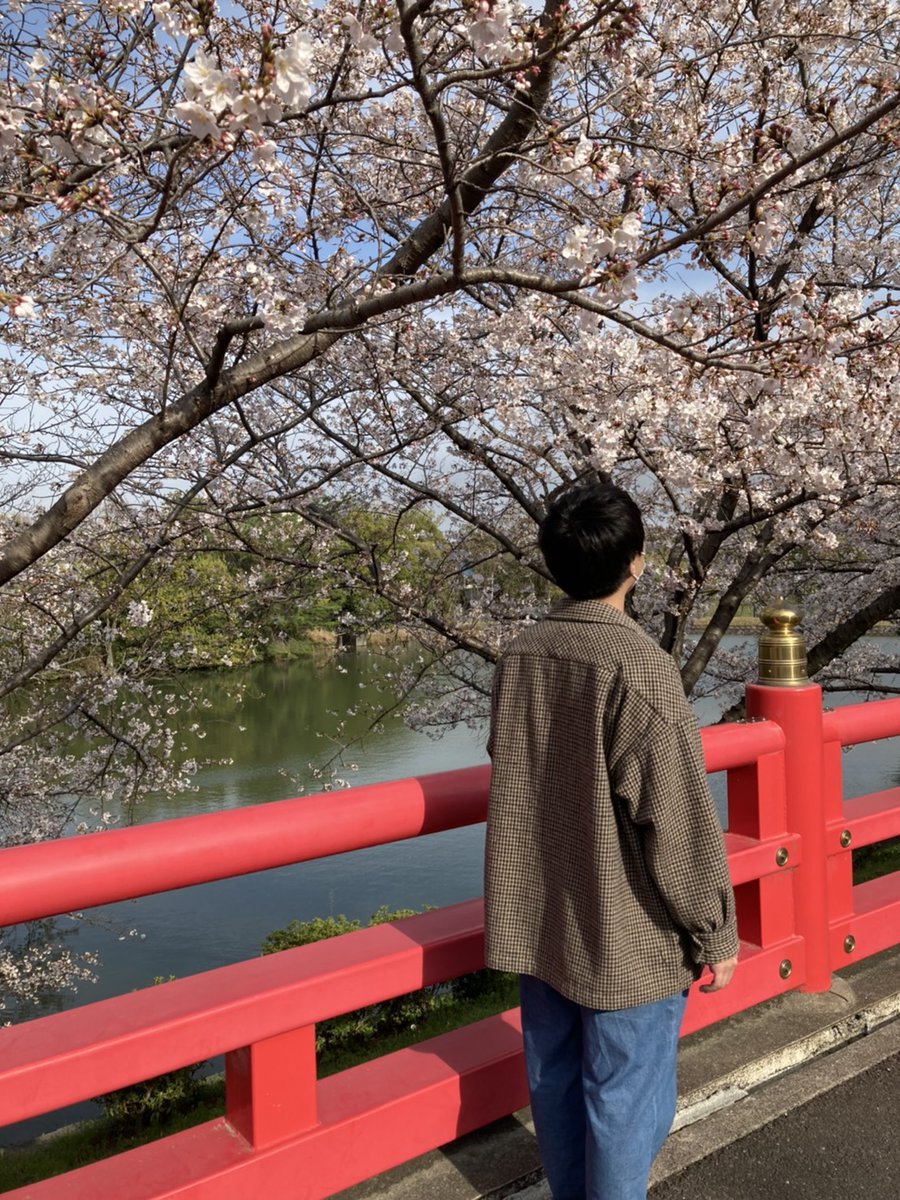 HAMPJ2016's tweet photo. お久しぶりです！
ほくせつ探検大学です！

本日は感染症対策をばっちりにして桜を撮りに行ってきました！

今後は少しずつ活動メンバーの取材の裏側などを更新していこうと思います！！

＃追手門学院大学 https://t.co/jDnwbPQ8hA