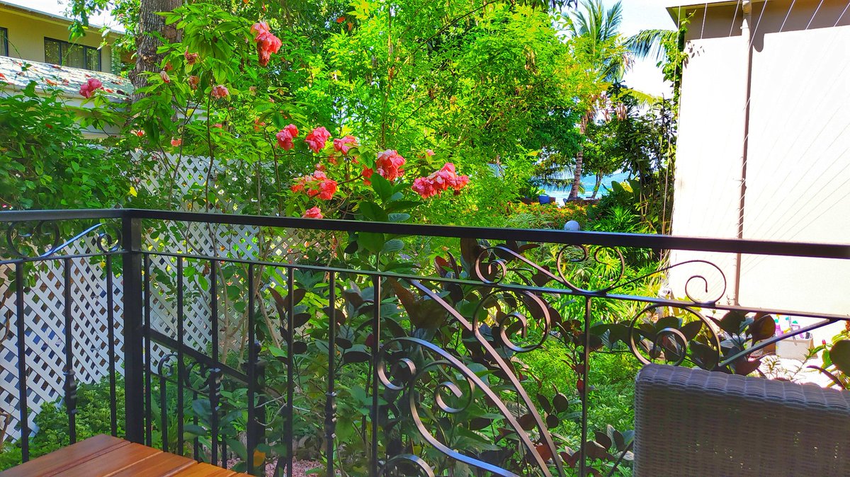 VerandaThought's tweet photo. I've just gone and booked me a holiday.
Well... It's three nights on an island that's only 15mins away, but it's a start.
#PrecedentedTimes https://t.co/pj9a8Poz2i